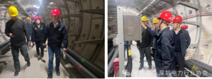 微信图片_20250103140502 微信图片_20250103140502